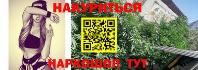 каннабис Славгород