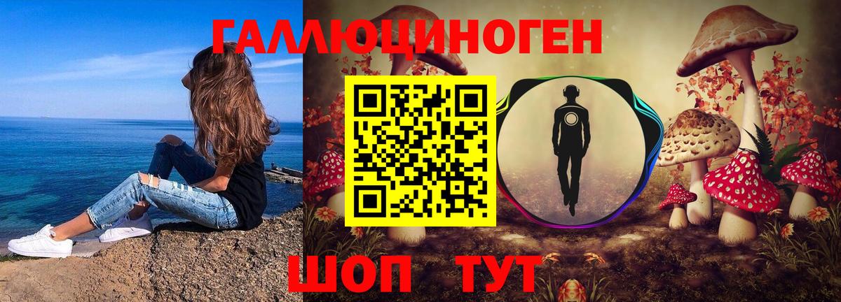 Псилоцибиновые грибы Psilocybine cubensis  Вход с VPN  Верхний Уфалей  Галлюциногенные грибы MAGIC MUSHROOMS 